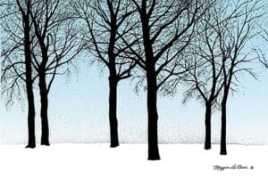 Winter Trees - Michigan Prints - 500px art - copyright Maggie LaNoue
